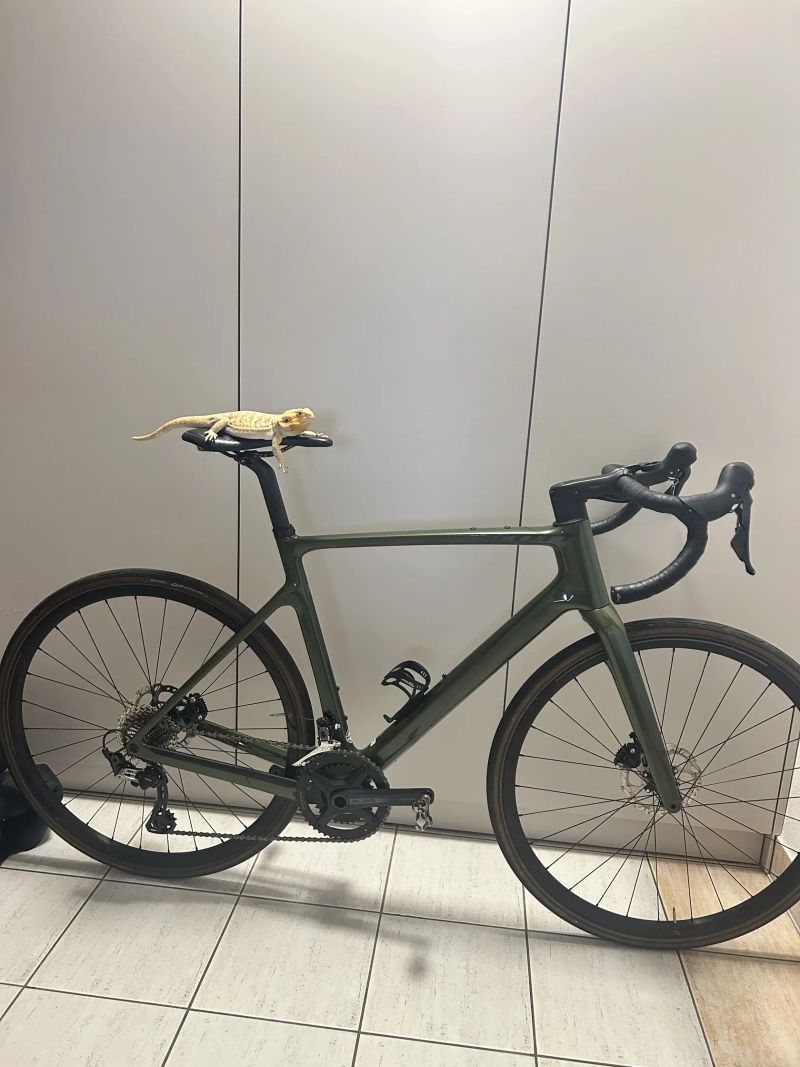 Scott Addict Gravel 30 L