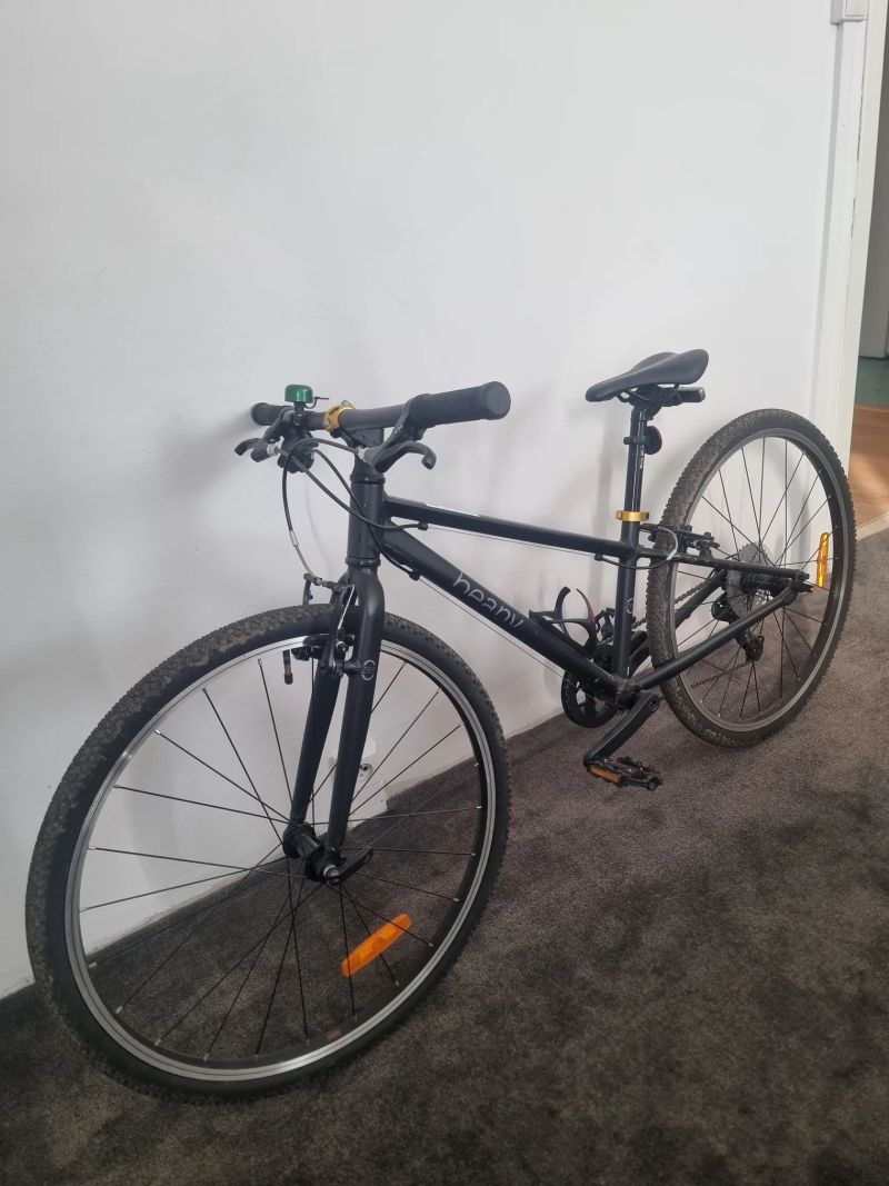 Lehké dětské kolo Beany Zero 26