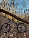 Trek Supercaliber 9.6 Gen 2