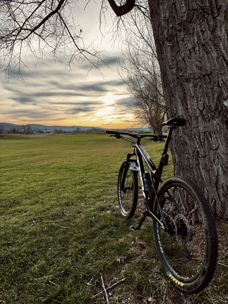 Trek Supercaliber 9.6 Gen 2