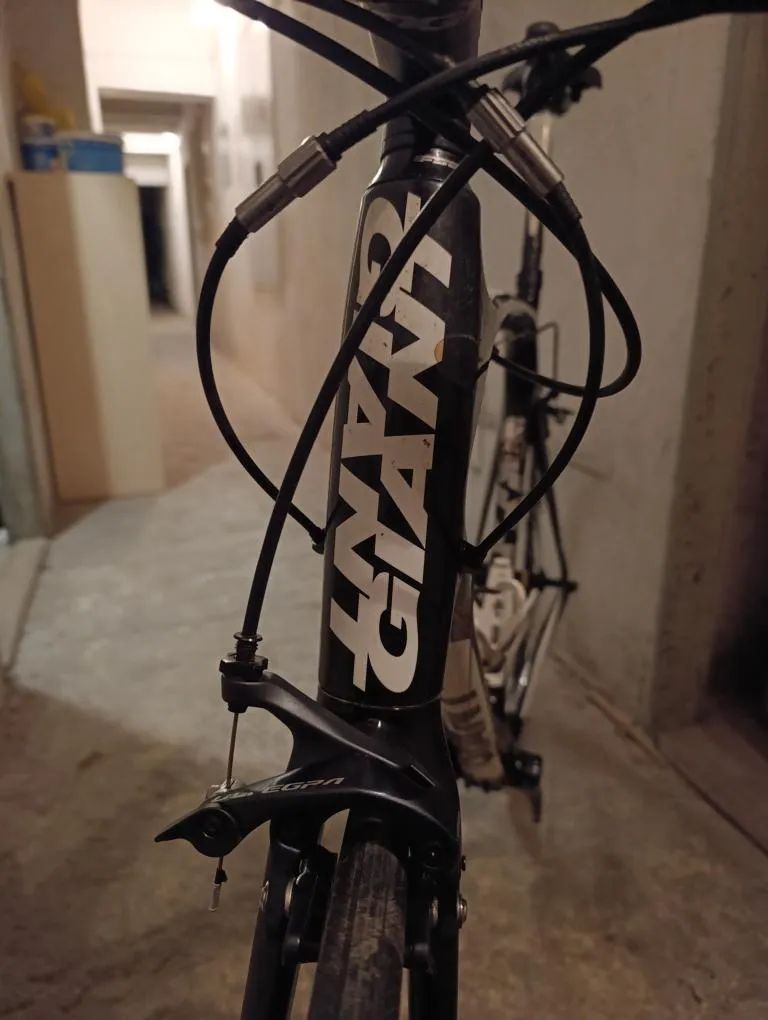 Giant TCR Advanced Composite 2