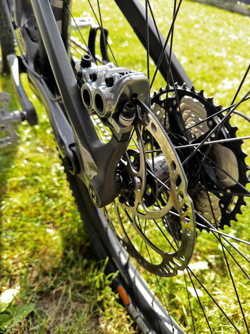 Transition Sentinel, vel. XL