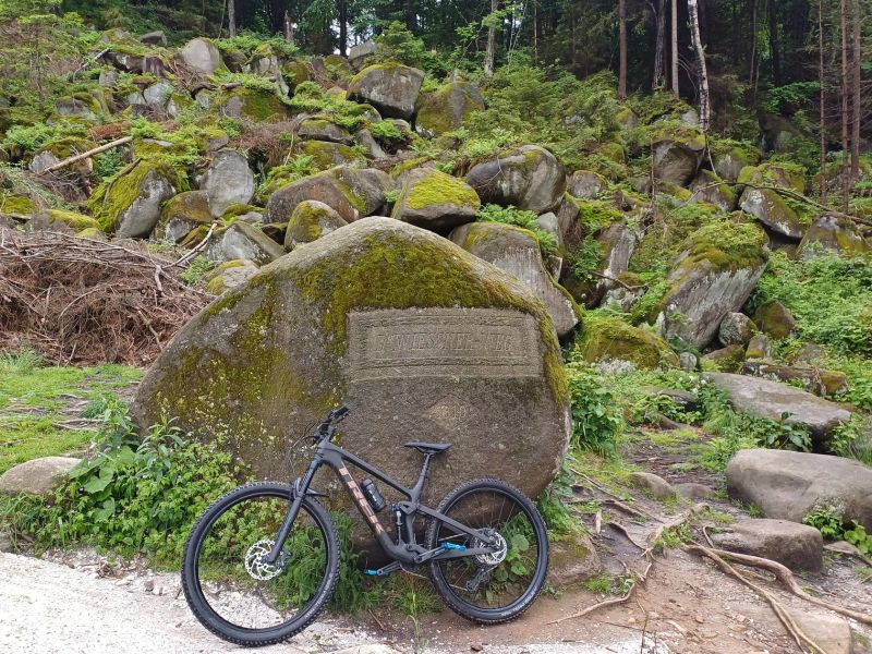 TREK Top Fuel 9.7 (2023) – Matte Raw Carbon, M/L