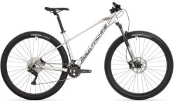 Rock Machine Torrent 50