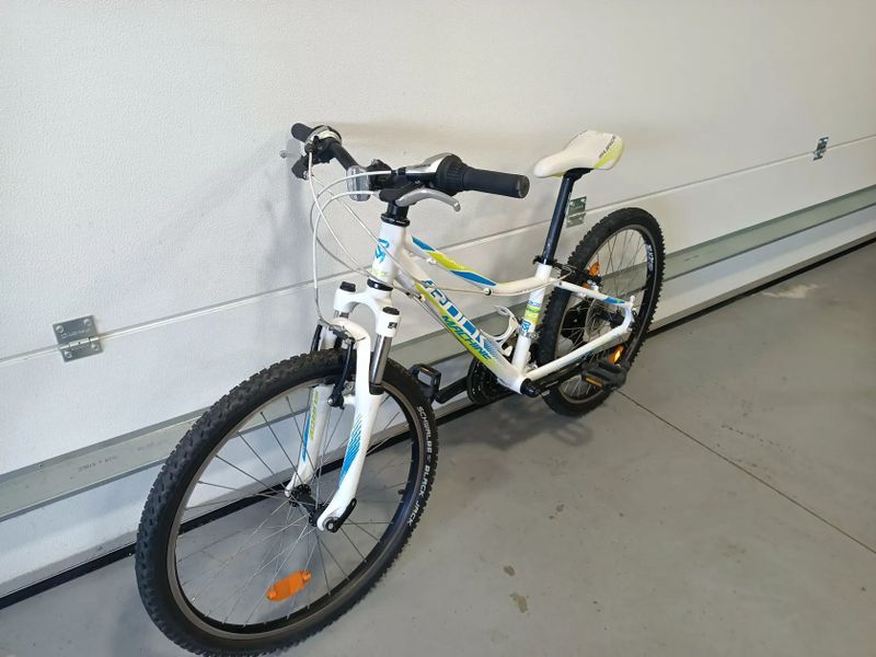 Rock Machine Surge 24