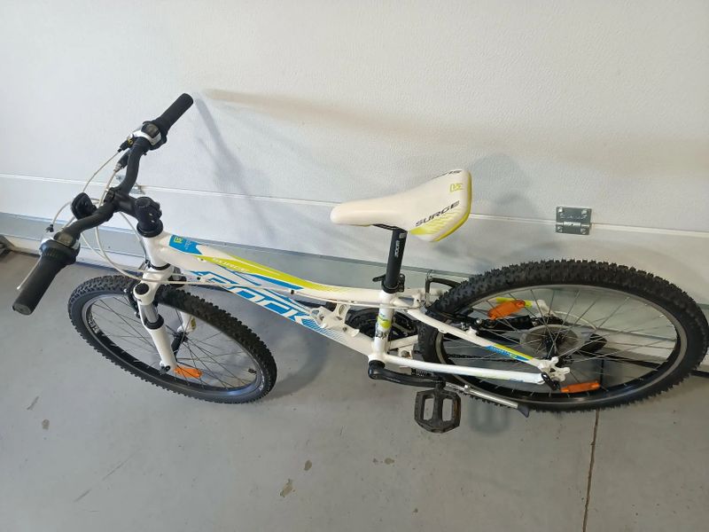 Rock Machine Surge 24