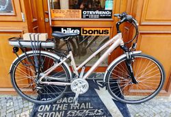 e-Totem Cortina lady