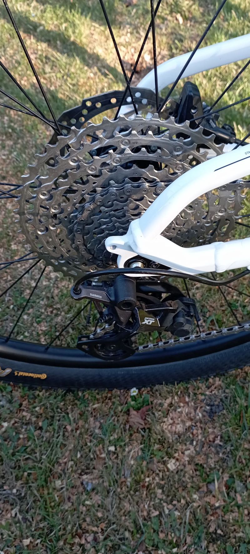 Canyon Grand Canyon 8 WMN