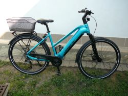 Leader Fox Sandy Lady