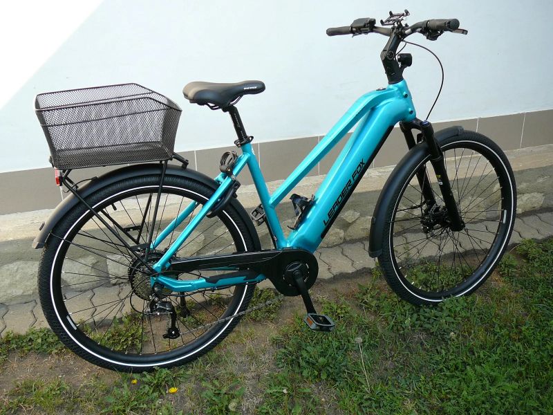 Leader Fox Sandy Lady