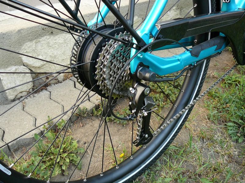 Leader Fox Sandy Lady