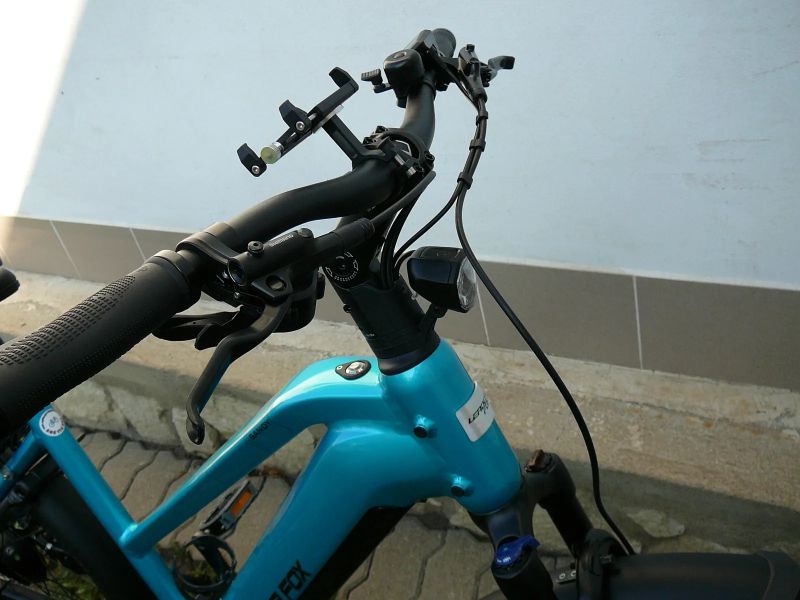 Leader Fox Sandy Lady