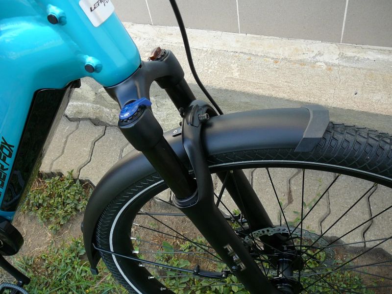 Leader Fox Sandy Lady