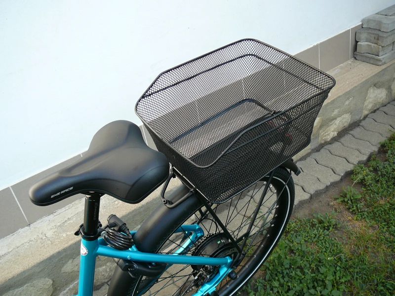 Leader Fox Sandy Lady