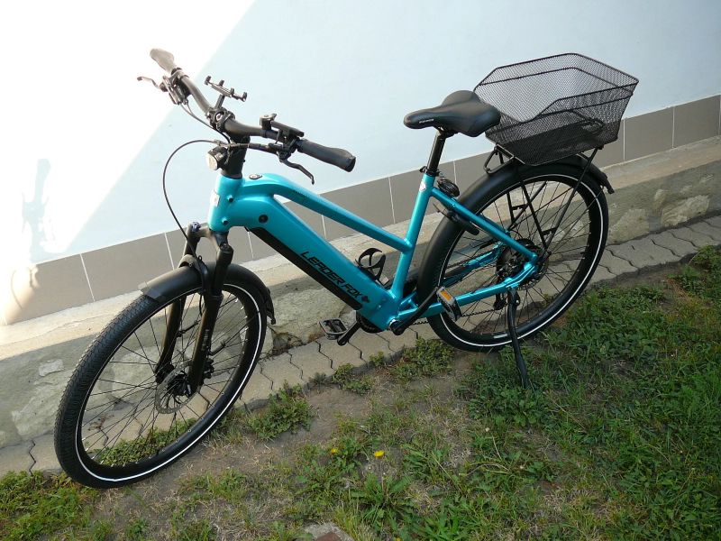 Leader Fox Sandy Lady