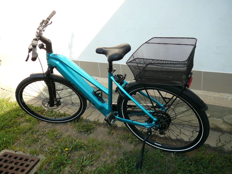 Leader Fox Sandy Lady