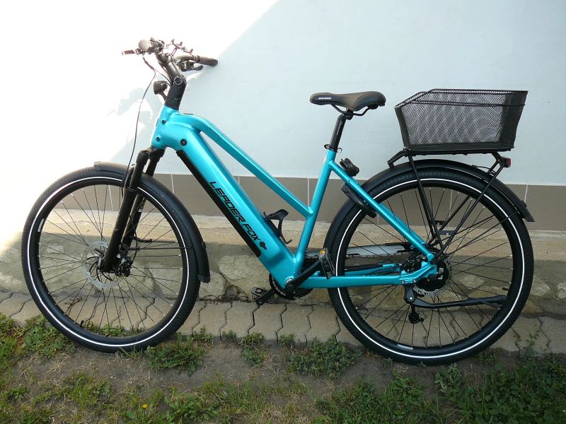 Leader Fox Sandy Lady