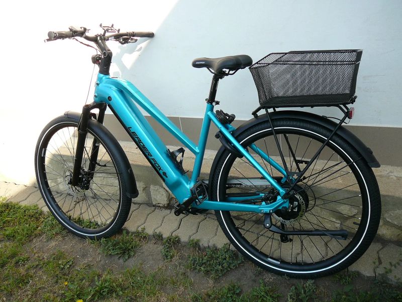 Leader Fox Sandy Lady