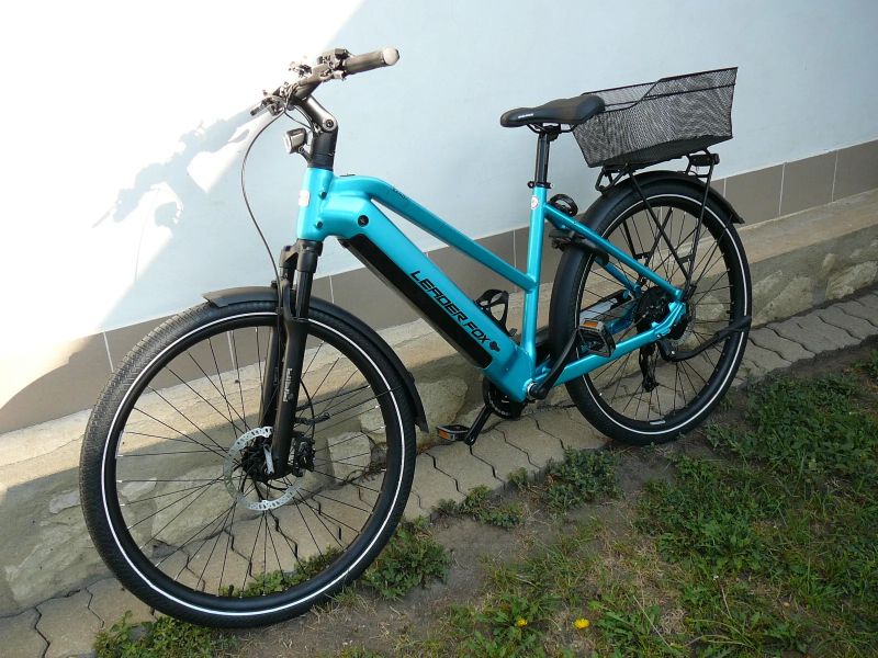 Leader Fox Sandy Lady