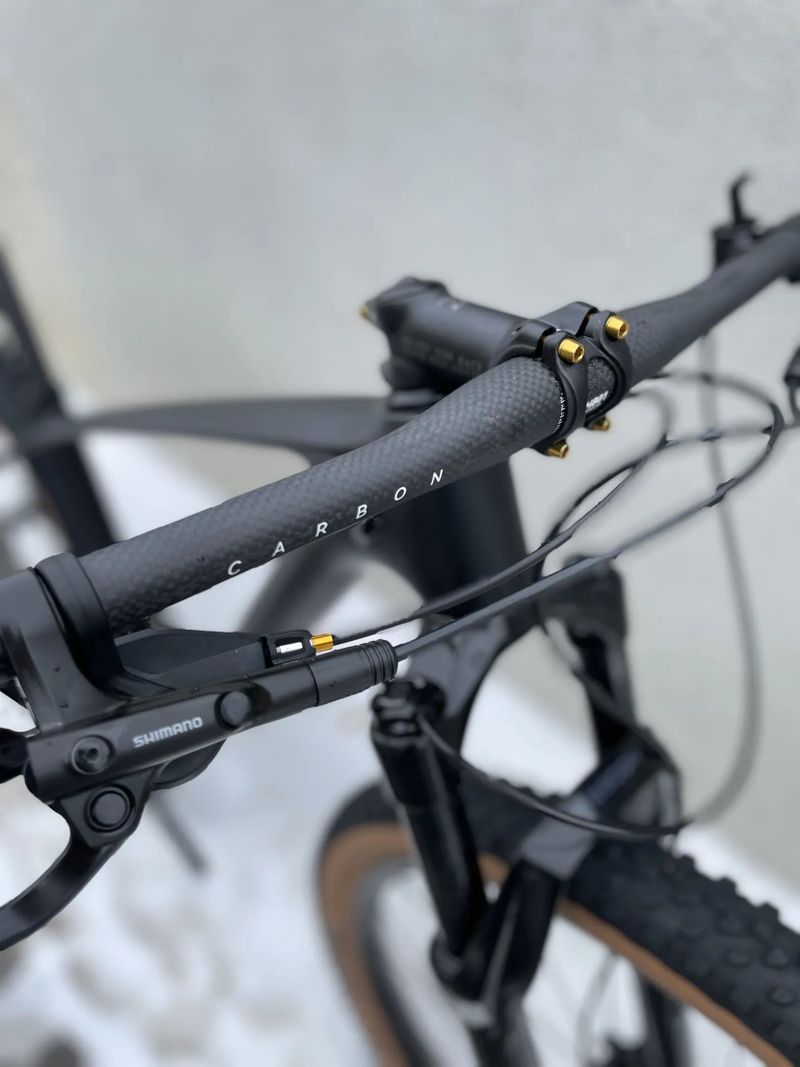 Carbon 29” boost