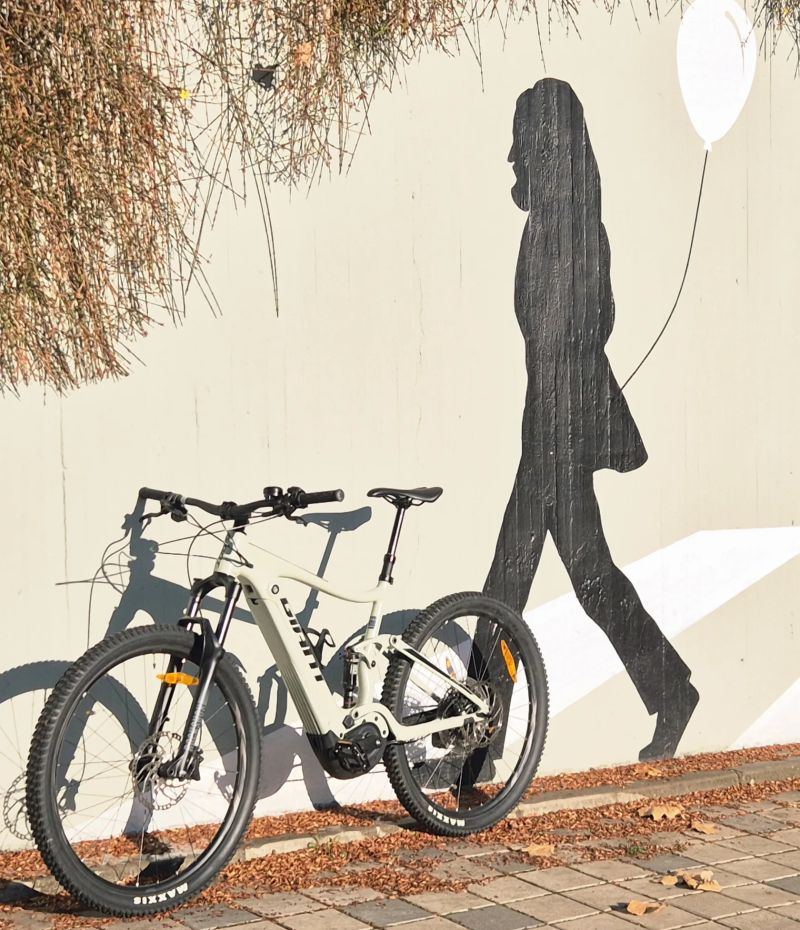 Giant STANCE E+1 29ER