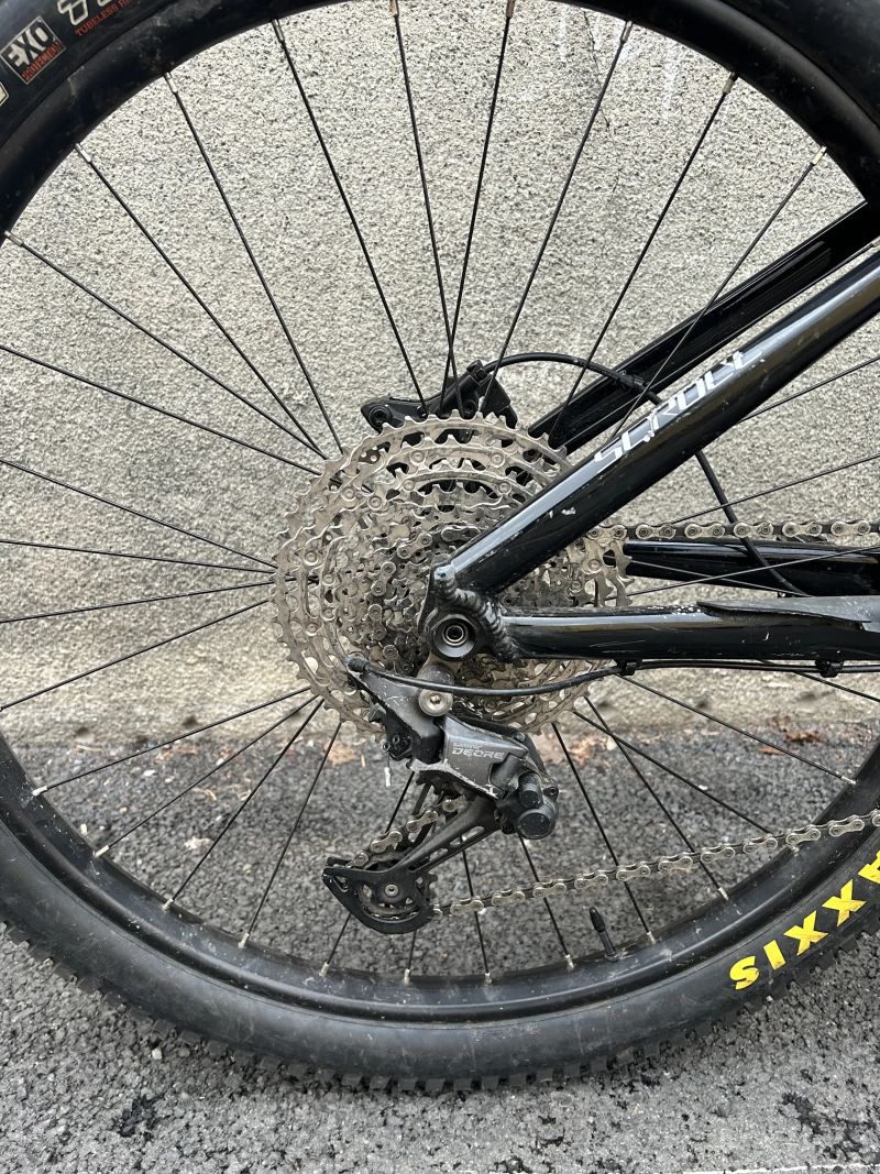 CTM Scroll M 29” 2023