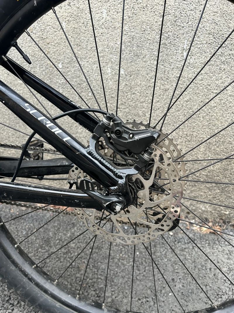 CTM Scroll M 29” 2023