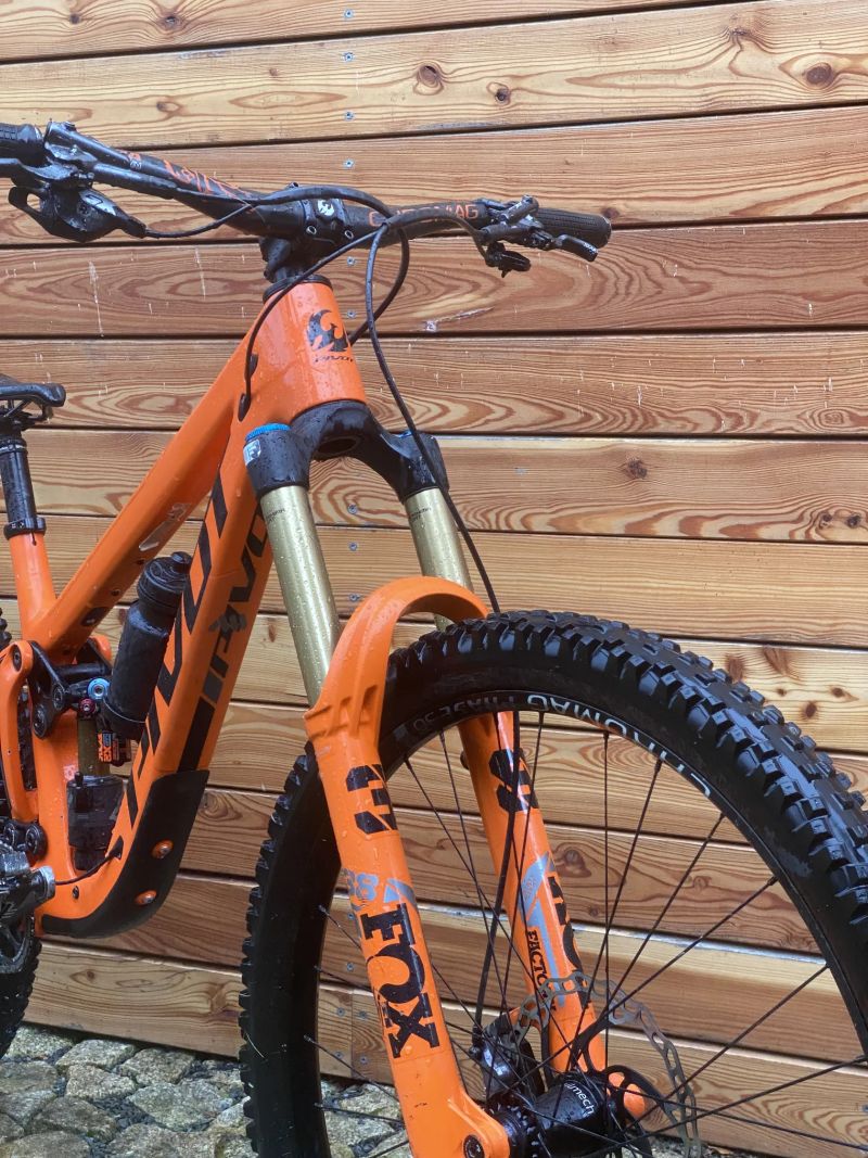 Pivot Cycles Firebird 