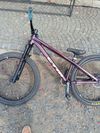 CTM Ctm dirtking expert 2022 purlple