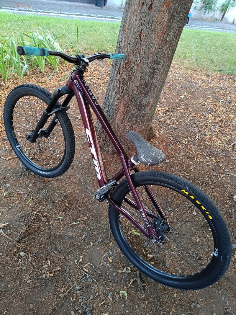 CTM Ctm dirtking expert 2022 purlple