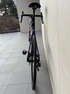 Basso Astra, Shimano Ultegra, vel. 56