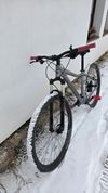 Cannondale Trail 5