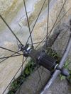 Shimano wh6700