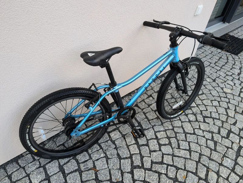 Dětské kolo RASCAL 20