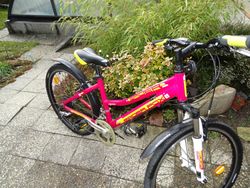 Leader Fox Spider 24" Páčkové řazení !!