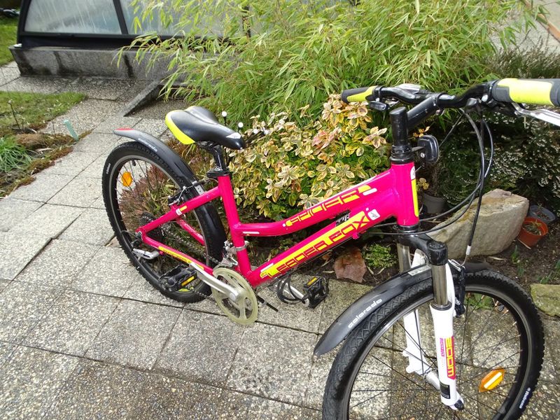 Leader Fox Spider 24" Páčkové řazení !!