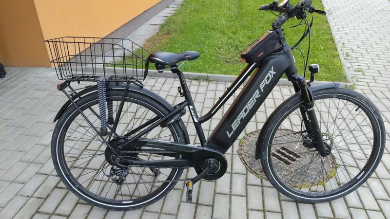 Leader Fox Sandy Lady