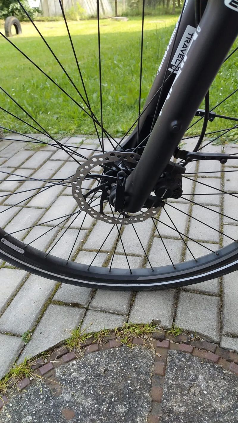 Leader Fox Sandy Lady