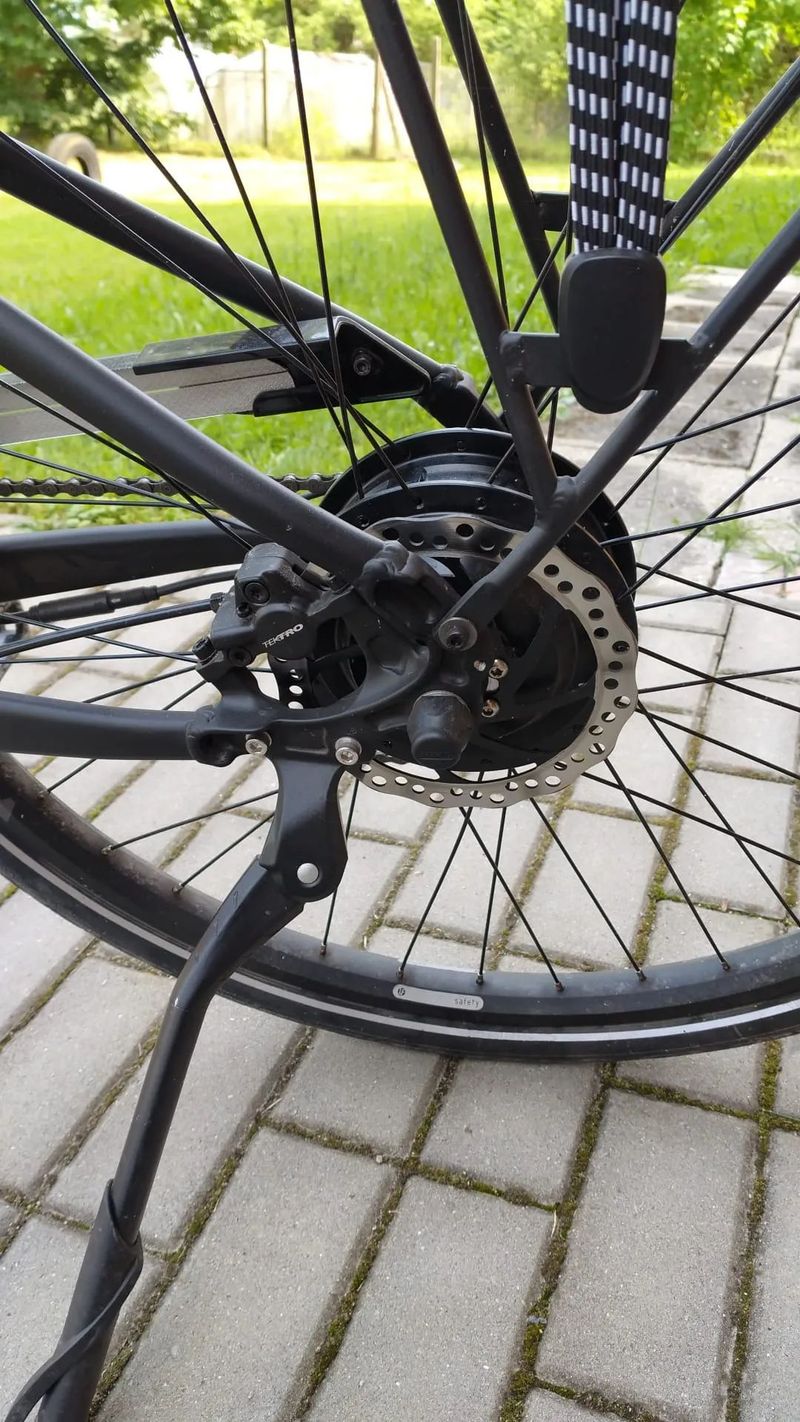 Leader Fox Sandy Lady