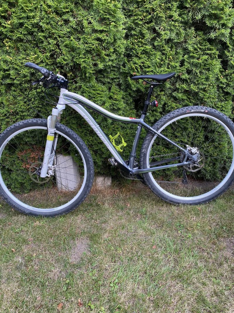 Specialized Jett Expert 29 šedá/bílá/zelená