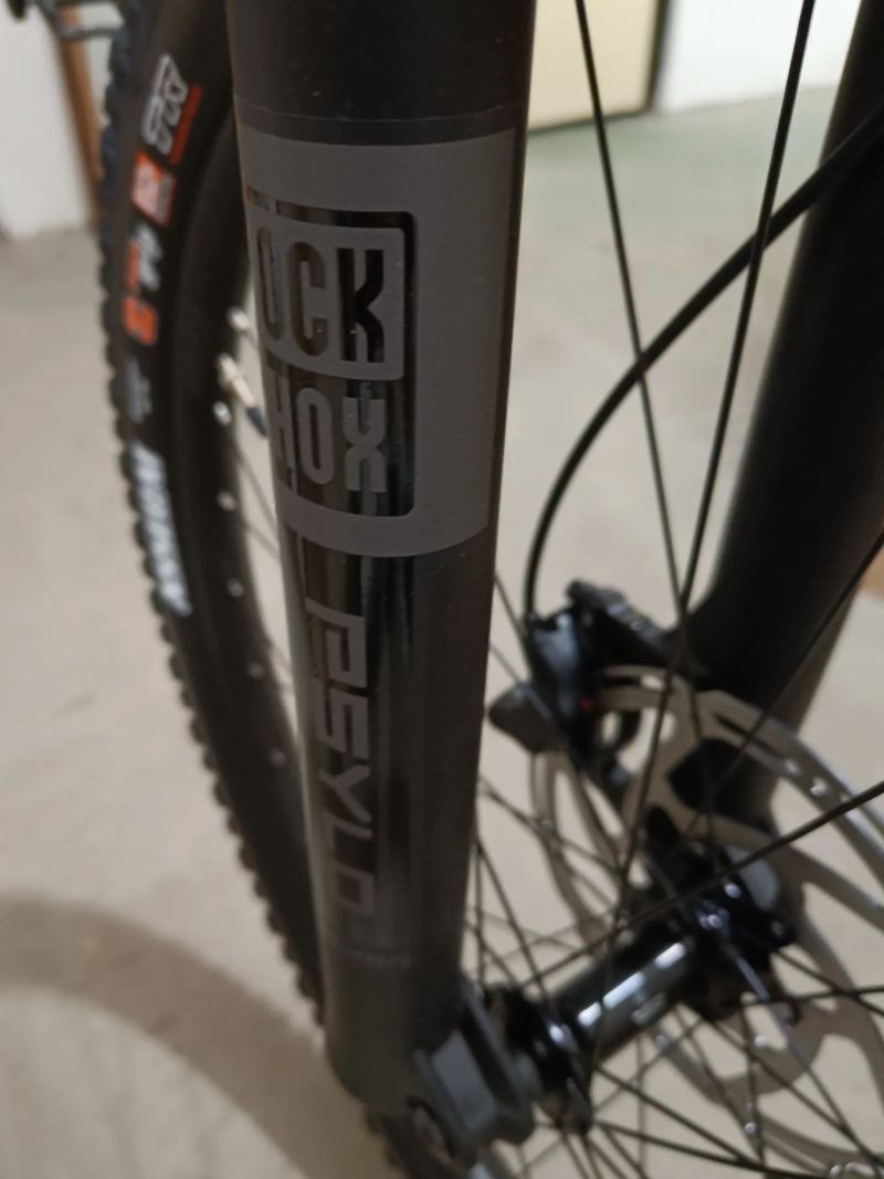 Rock Shox Psylo Silver R - 29'' - 160mm