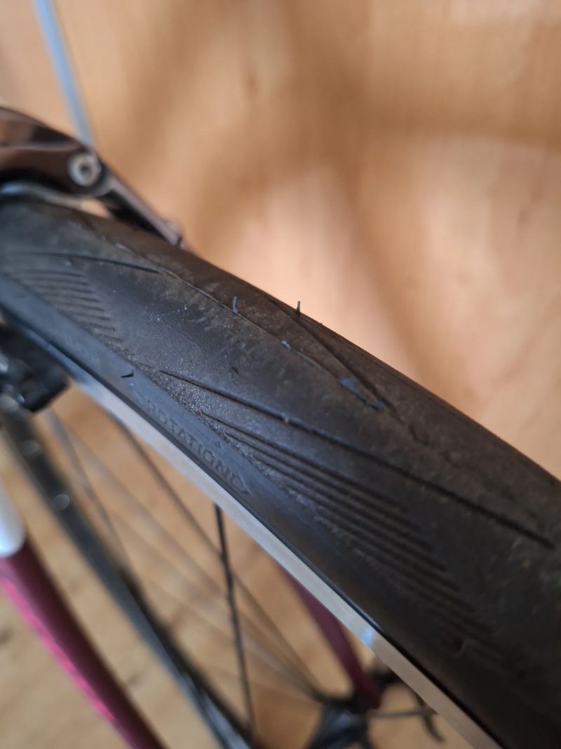 Nový Scott Addict 2018