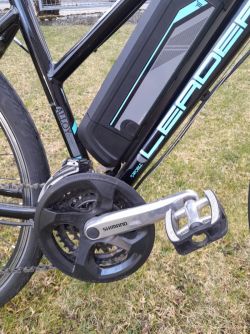 Leader Fox Venosa Lady 2016