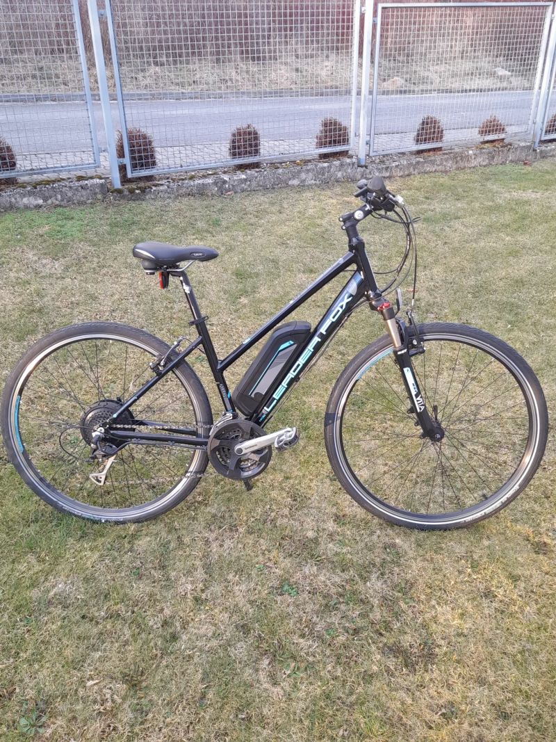 Leader Fox Venosa Lady 2016