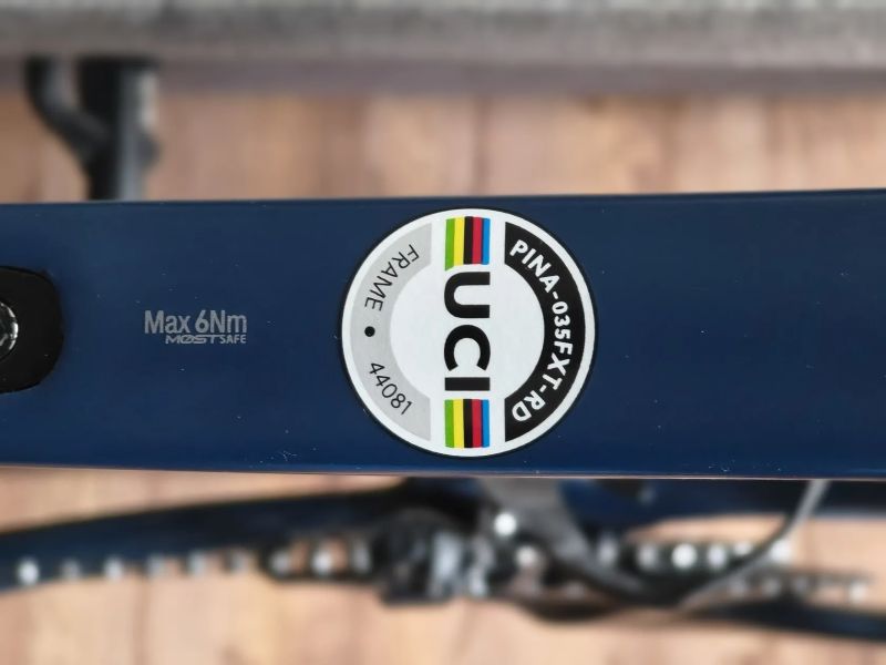 Pinarello Prince Disk / Ultegra R8000 / Vittoria Elusion