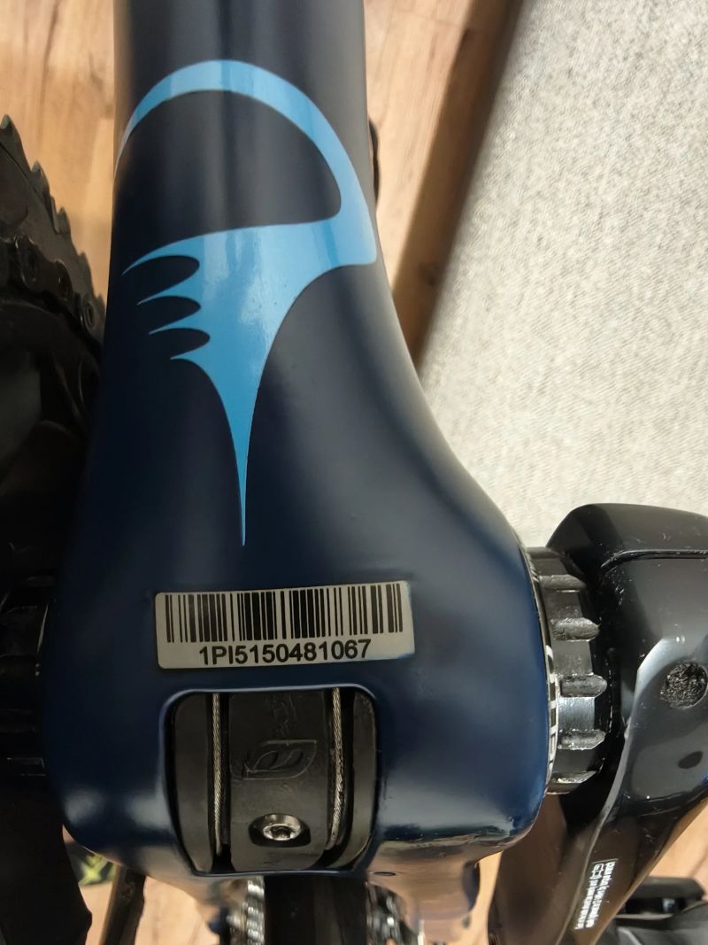 Pinarello Prince Disk / Ultegra R8000 / Vittoria Elusion