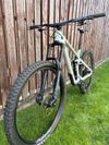 Canyon Strive CF 7 (M) Barva: X-Ray