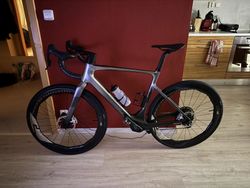 Scott Solace ultimate