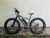 Cygnus Fatbike