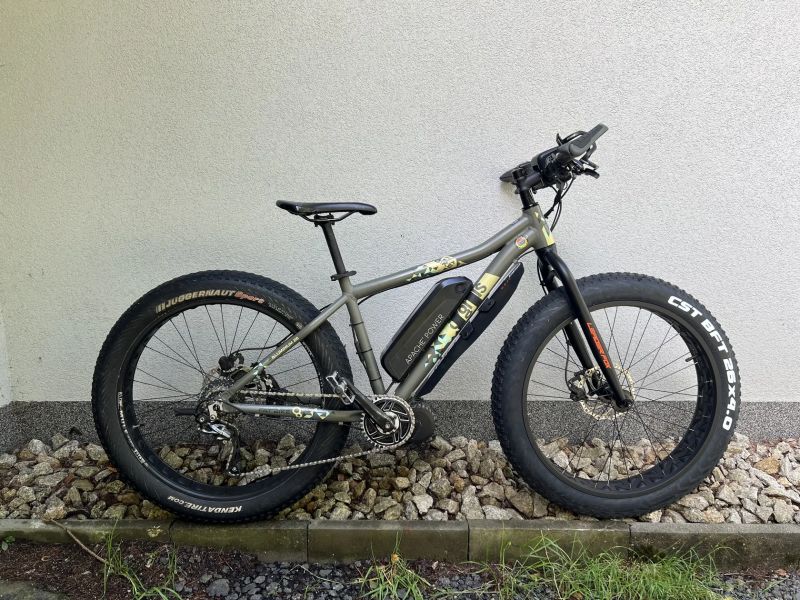 Cygnus Fatbike
